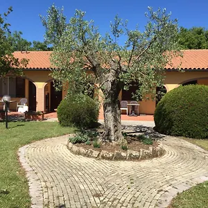  Alloggio per agriturismo Il Girasole